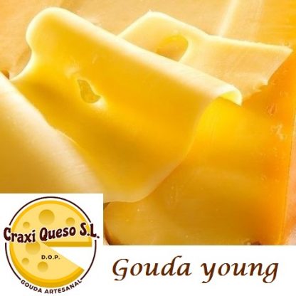 Craxi Dutch farmer's gouda young, artisanal raw milk gouda 48+