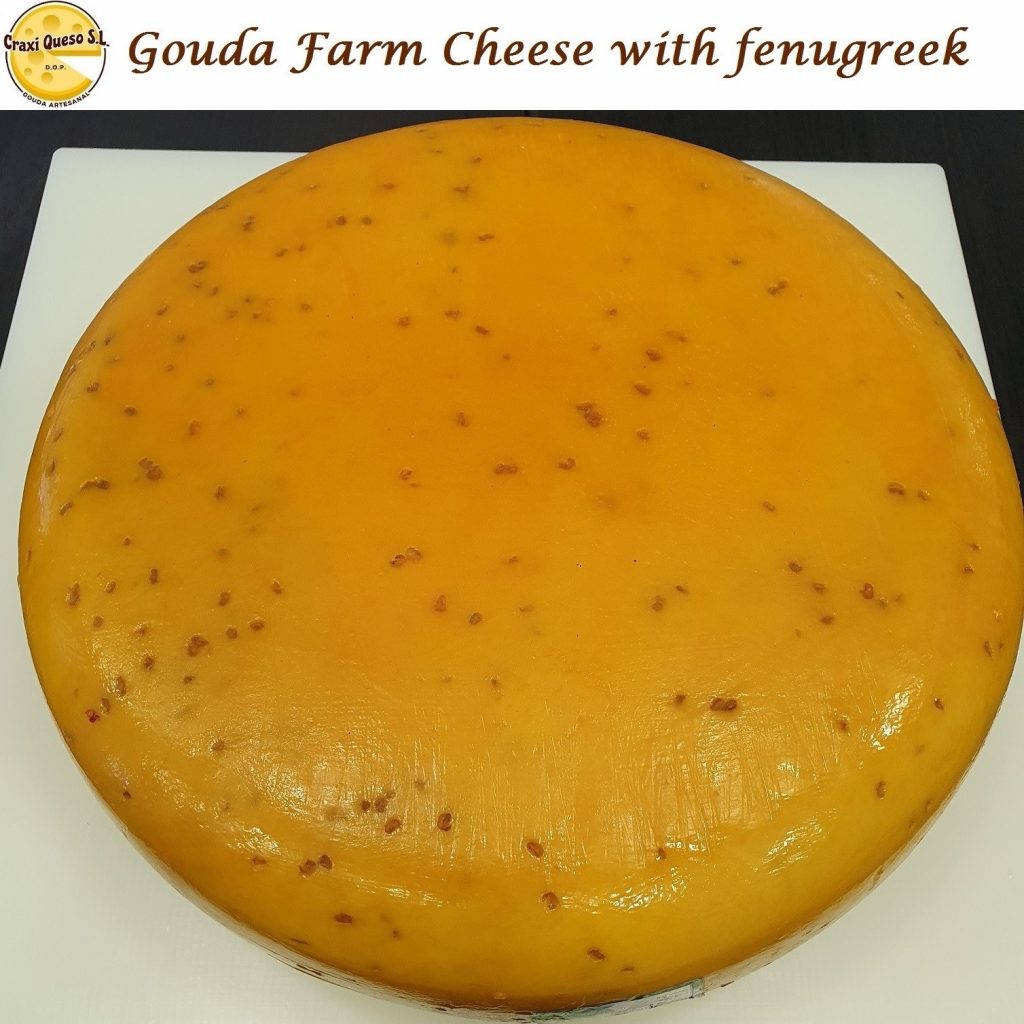 Craxi farm gouda cheese with fenugreek, raw milk gouda farmer's fenugreek cheese 48+