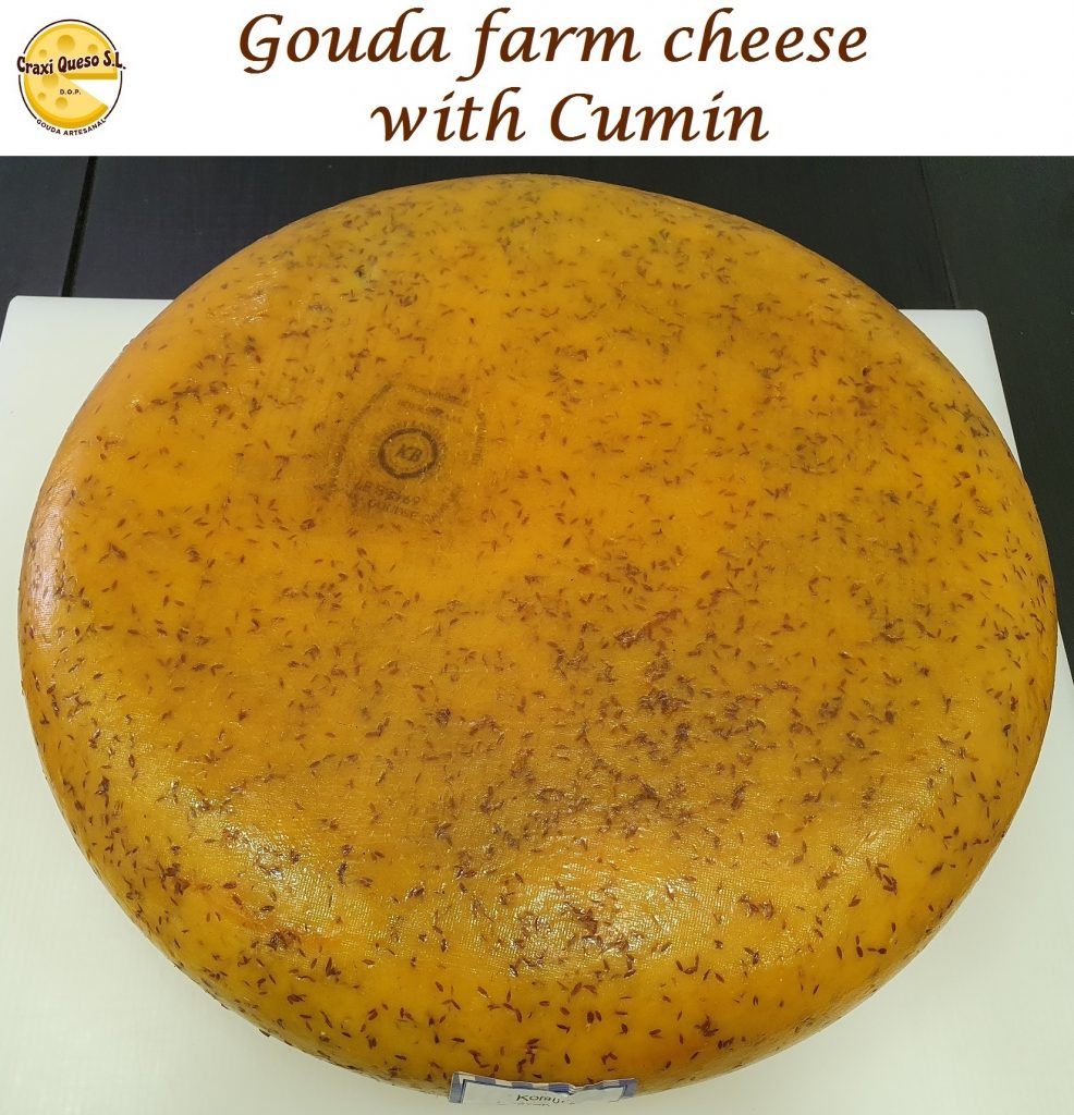 Raw milk cumin cheese (48+), Dutch Gouda farmer's cheese with cumin seeds