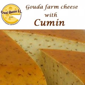 Gouda cumin cheese freshly cut after order from a 12 kilo raw milk farmer's Gouda (48+) cheese wheel with cumin