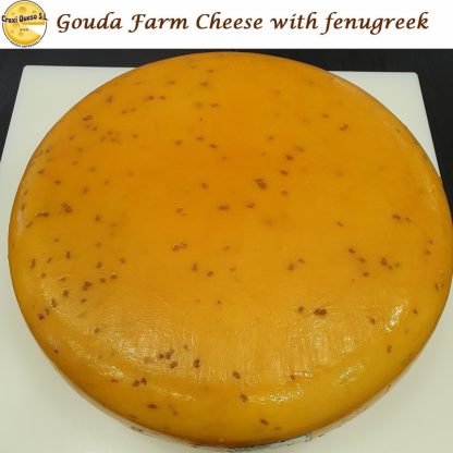 Whole Gouda fenugreek cheese, 12 kilo raw milk farmer's Gouda (48+) cheese wheel with fenugreek