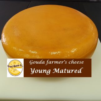 Whole Gouda cheese wheel of artisan Gouda cheese young matured, raw milk Dutch Gouda farmer's cheese to order online or for sale in our cheese shop in Malaga, Spain