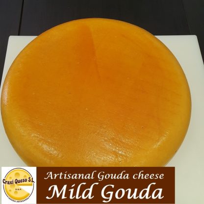 Dutch raw milk mild Gouda, whole cheese wheel of young artisan Gouda cheese
