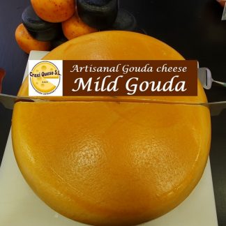 Mild Gouda cheese, whole artisan gouda cheese wheel