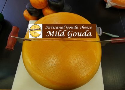 Mild Gouda cheese, whole artisan gouda cheese wheel