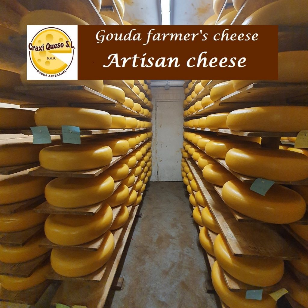 Dutch artisan mature Gouda cheese (raw-milk, cow)
