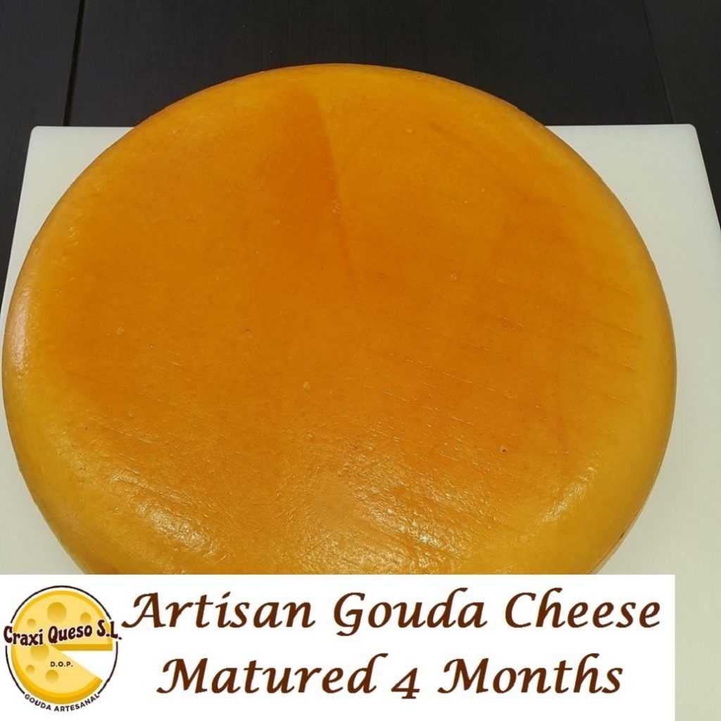 Craxi semi cured Gouda cheese wheel. Artisanal Craxi Gouda cow cheeses. Dutch Gouda farmer's cheese in Malaga, Spain